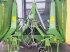 Mähwerk van het type Krone Easy Cut B 970, Gebrauchtmaschine in Cham (Foto 9)