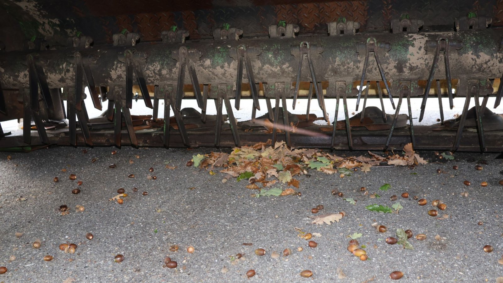 Mähwerk Türe ait Krone Easycut 3210 CV, Gebrauchtmaschine içinde Hadsund (resim 10)