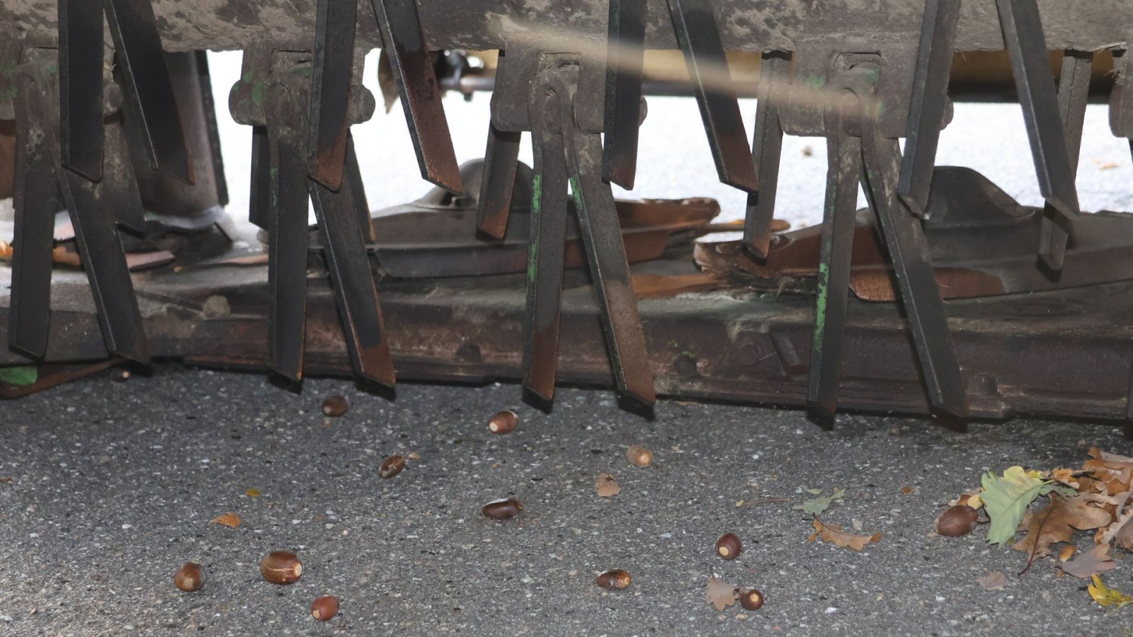 Mähwerk Türe ait Krone Easycut 3210 CV, Gebrauchtmaschine içinde Hadsund (resim 9)