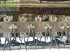 Mähwerk του τύπου Krone easycut 6210 cv, Gebrauchtmaschine σε ANRODE / OT LENGEFELD (Φωτογραφία 5)