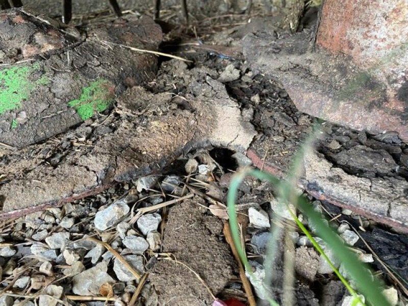 Mähwerk του τύπου Krone Faucheuse conditionneuse Ec 280 Krone, Gebrauchtmaschine σε ORLEIX (Φωτογραφία 2)