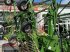 Mähwerk typu Krone Swadro 1400 plus, Gebrauchtmaschine w Holzhausen (Zdjęcie 13)