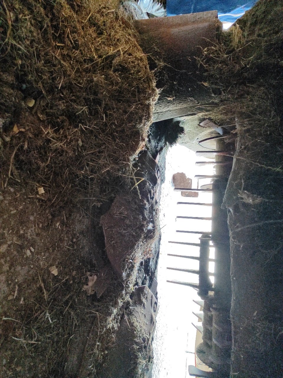 Mähwerk типа Kuhn FC 3125 df -ff, Gebrauchtmaschine в Lérouville (Фотография 10)