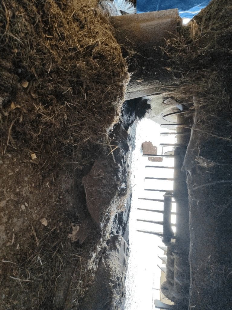 Mähwerk des Typs Kuhn FC 3125 dF-FF, Gebrauchtmaschine in Lérouville (Bild 7)