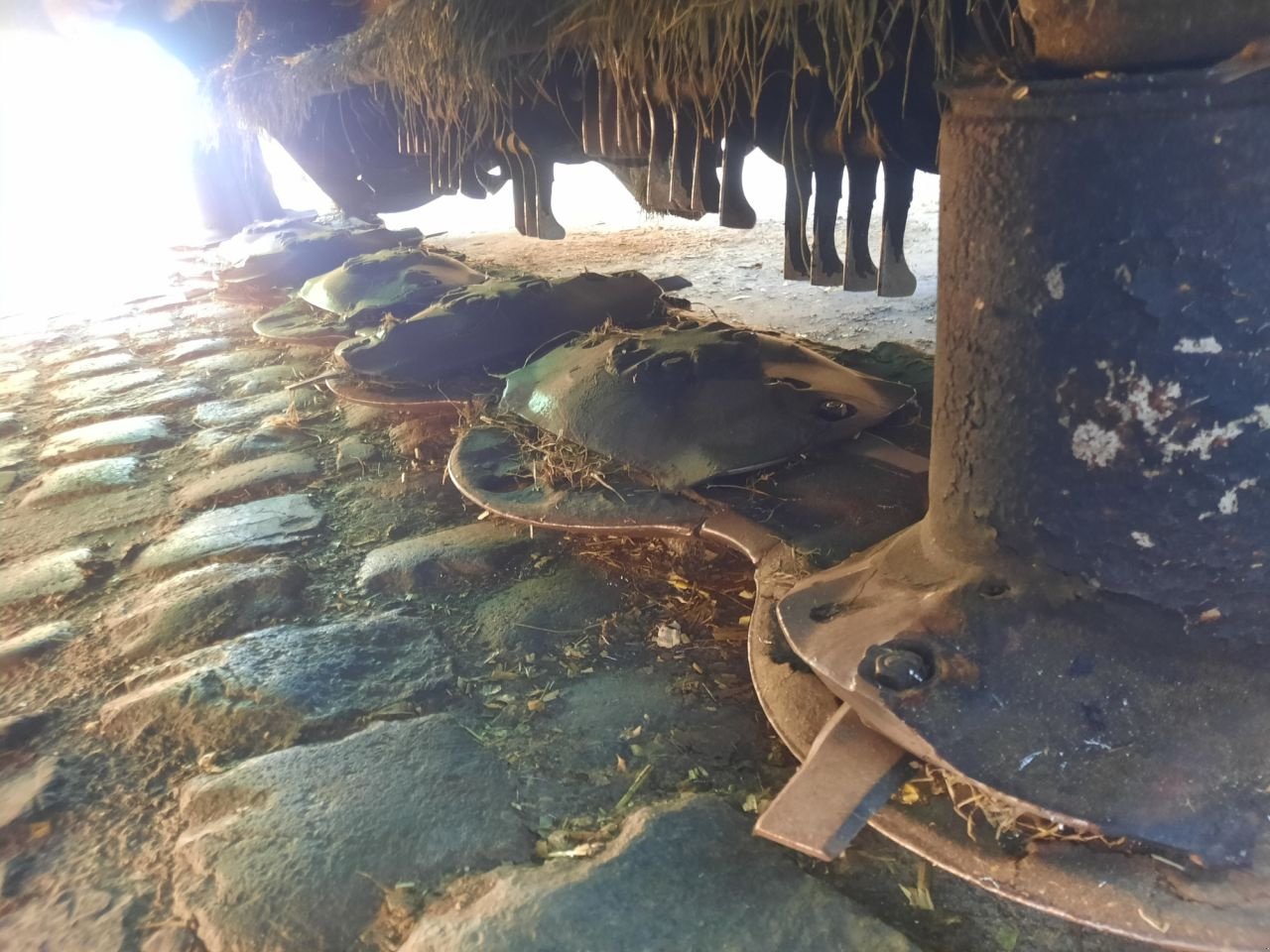 Mähwerk du type Kuhn FC3125, Gebrauchtmaschine en Essen (Photo 2)