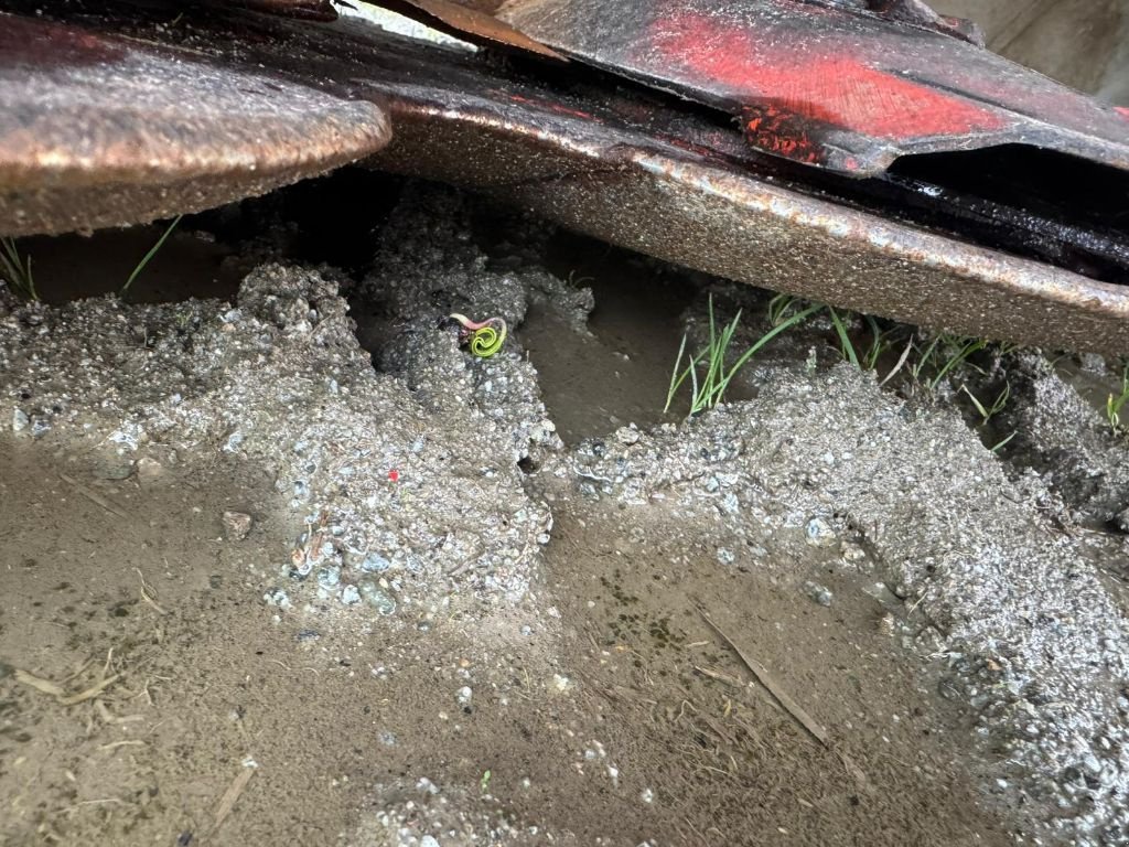 Mähwerk Türe ait Kuhn GMD 4411, Gebrauchtmaschine içinde GUERET (resim 11)