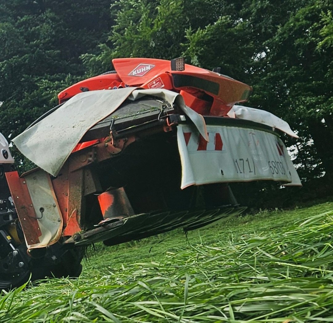 Mähwerk a típus Kuhn GMD3125F-FF, Gebrauchtmaschine ekkor: Bad König (Kép 2)