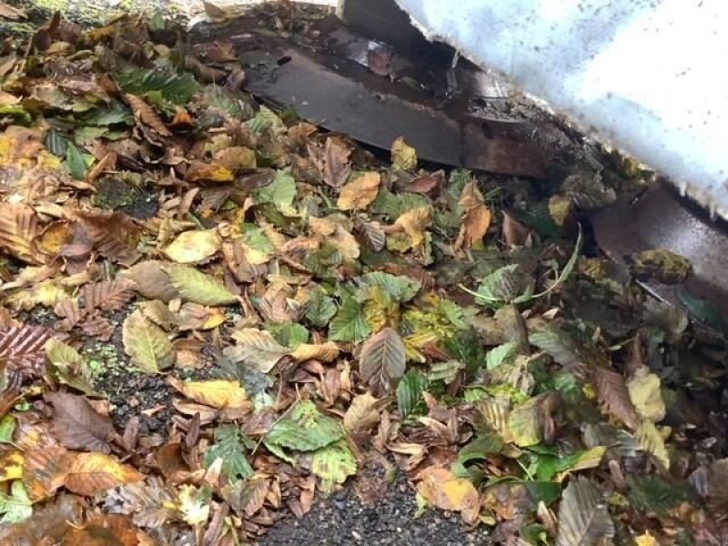 Mähwerk of the type Kuhn PZ280F, Gebrauchtmaschine in les hayons (Picture 5)