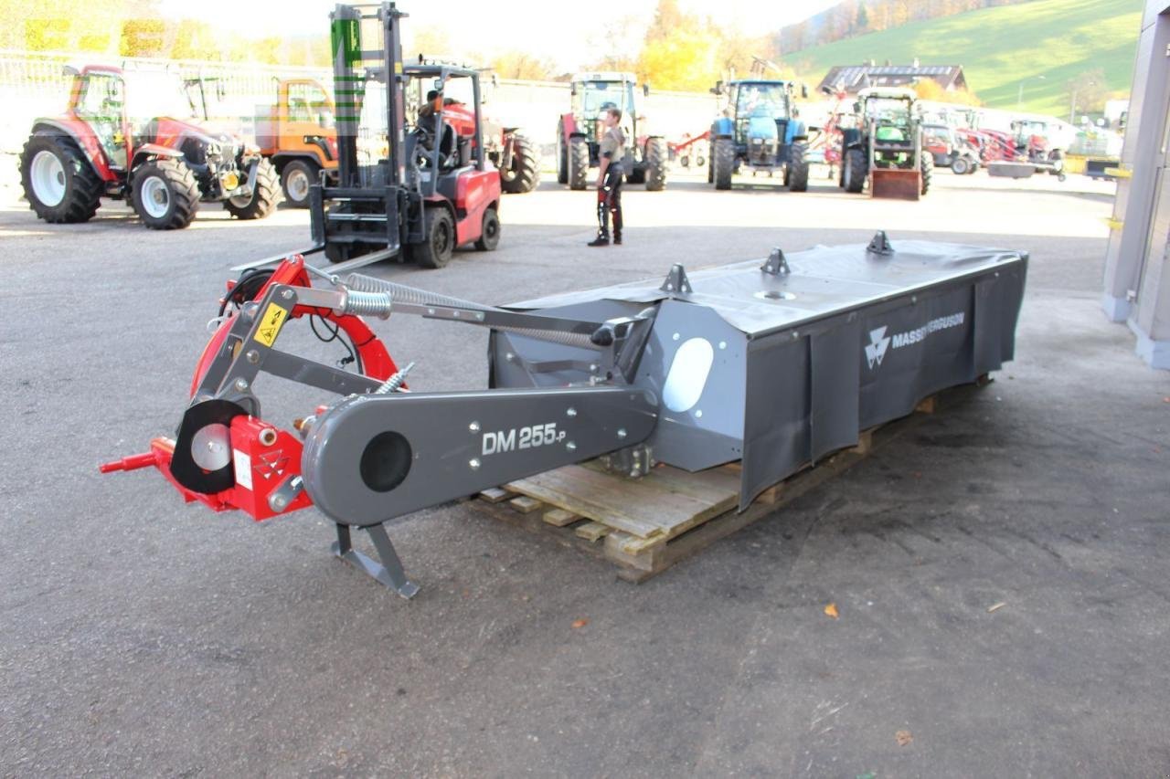 Mähwerk του τύπου Massey Ferguson dm 255p, Gebrauchtmaschine σε RANDEGG (Φωτογραφία 8)
