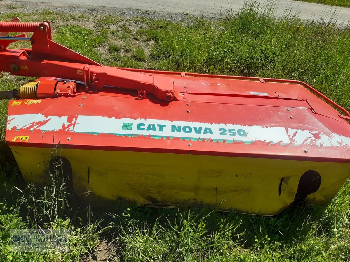 Mähwerk des Typs Pöttinger CAT Nova 250, Gebrauchtmaschine in Wies (Bild 4)