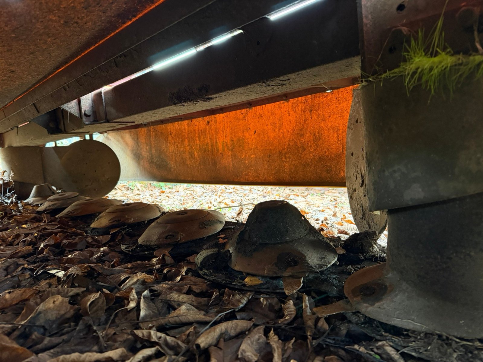 Mähwerk del tipo Pöttinger Faucheuse NOVACAT 350H Pöttinger, Gebrauchtmaschine In LA SOUTERRAINE (Immagine 6)