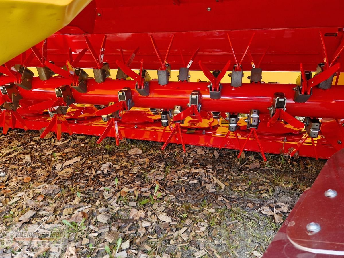 Mähwerk des Typs Pöttinger NOVACAT 301 ALPHA MOTION ED PRO, Neumaschine in Altenfelden (Bild 4)