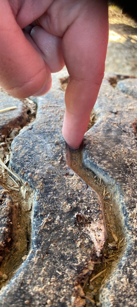 Mähwerk типа Pöttinger NOVACAT 3570 T, Gebrauchtmaschine в Calmont (Фотография 11)