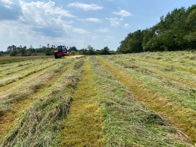 Mähwerk of the type Pöttinger Novacat 442 Solgt - flere på vej., Gebrauchtmaschine in Gram (Picture 3)