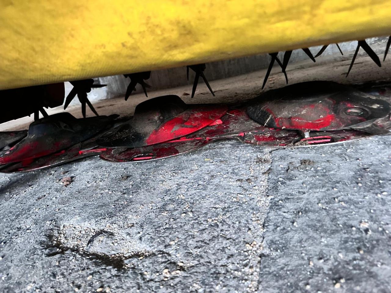 Mähwerk a típus Pöttinger Novacut X8 ED, Gebrauchtmaschine ekkor: Pragsdorf (Kép 5)