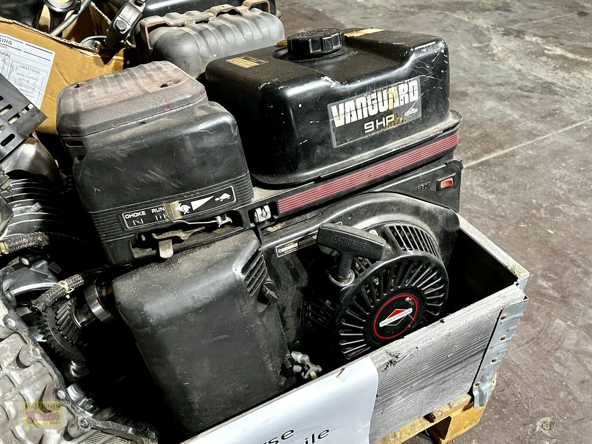 Mähwerk des Typs Sonstige Briggs&Stratton Motorenteile, Gebrauchtmaschine in Kötschach (Bild 2)