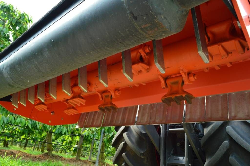 Mähwerk of the type Sonstige Lipa-Willibald TL160 snoeihoutversnipperaar / klepelmaaier, Neumaschine in Erichem (Picture 4)