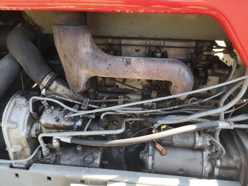 Mähwerk typu Sonstige Schlachte MF Traktor 35X135,294,178,390,3050ec, Gebrauchtmaschine v NATTERNBACH (Obrázek 3)