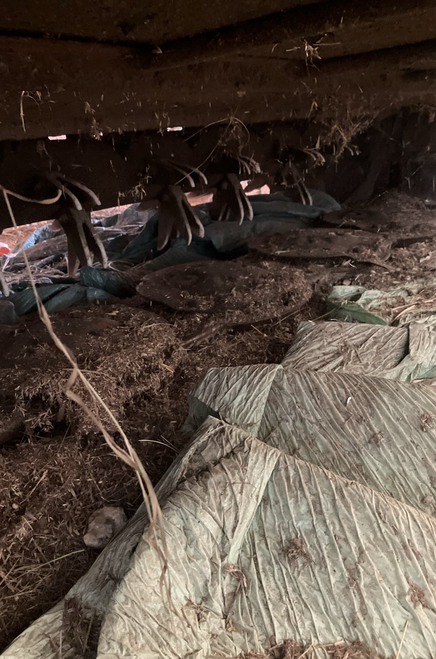 Mähwerk typu Taarup 3128, Gebrauchtmaschine v MORLHON LE HAUT (Obrázek 8)