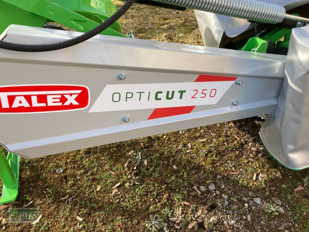 Mähwerk des Typs Talex Opti Cut 250, Neumaschine in Lindow (Bild 3)