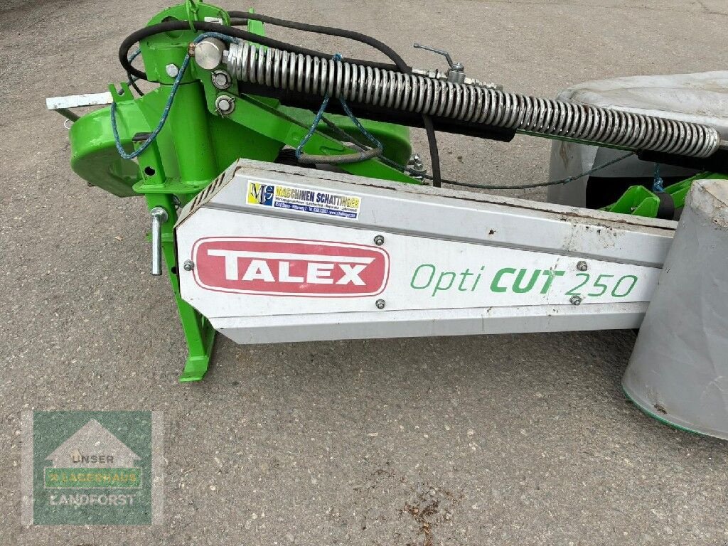 Mähwerk от тип Talex OptiCut 250, Gebrauchtmaschine в Murau (Снимка 4)