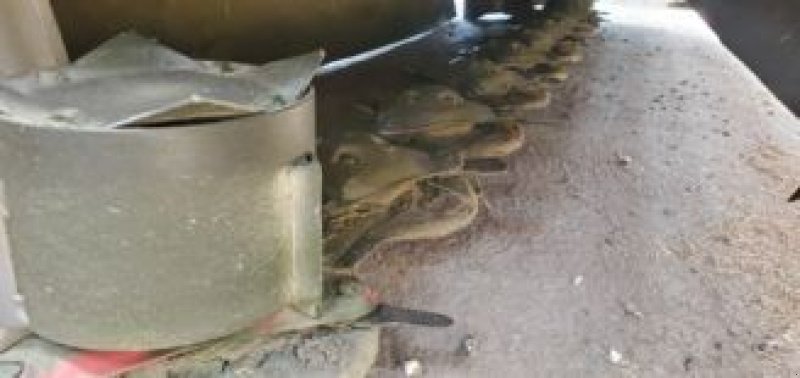 Mähwerk типа Vicon EXTRA 440 H, Gebrauchtmaschine в CIVENS (Фотография 3)