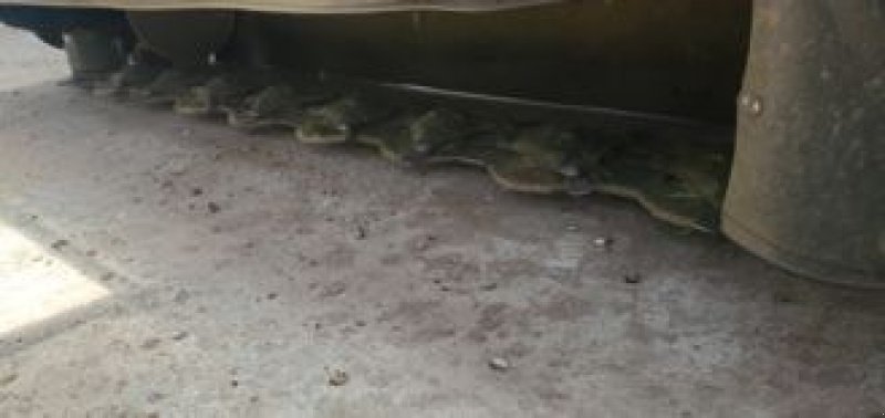 Mähwerk типа Vicon EXTRA 440 H, Gebrauchtmaschine в CIVENS (Фотография 4)