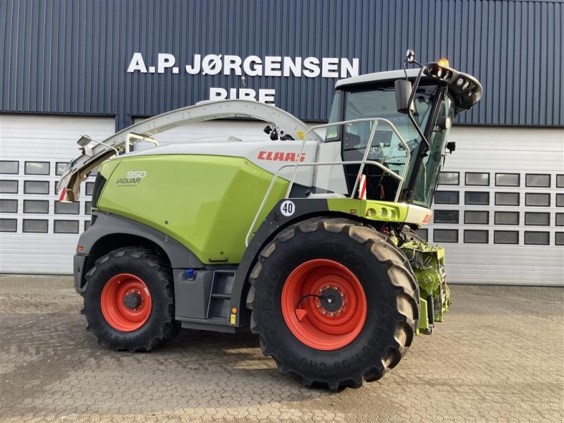 Maisgebiß of the type CLAAS JAGUAR 950. 502 model, Gebrauchtmaschine in Ribe (Picture 1)