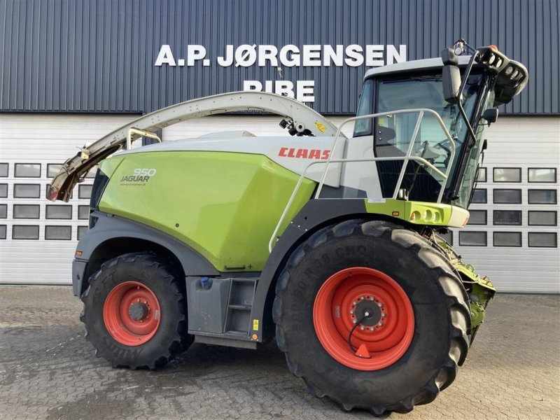 Maisgebiß of the type CLAAS JAGUAR 950. Godt udstyret, Gebrauchtmaschine in Ribe (Picture 1)