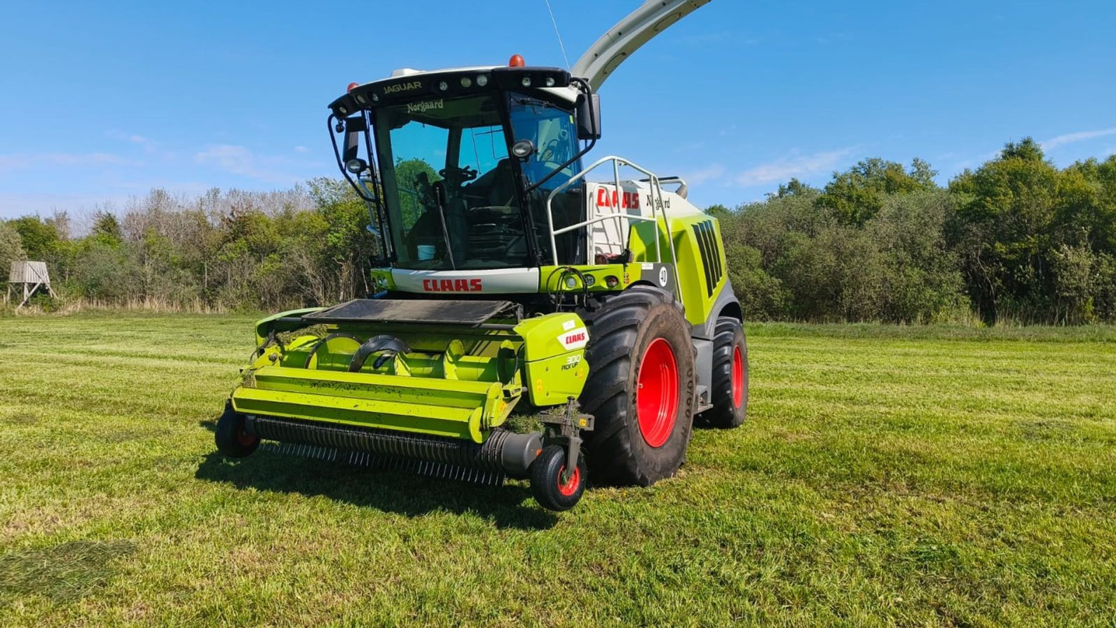 Maisgebiss типа CLAAS JAGUAR 960 4-97, Gebrauchtmaschine в Hjørring (Фотография 7)