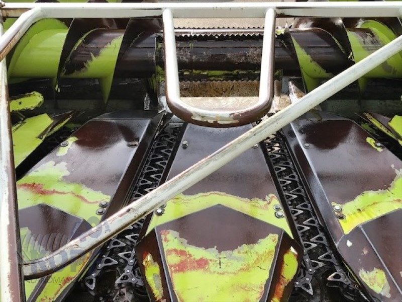 Maisgebiss типа CLAAS Kettengebiss 6-reihig Optimal für Lagermais, Gebrauchtmaschine в Schutterzell (Фотография 9)
