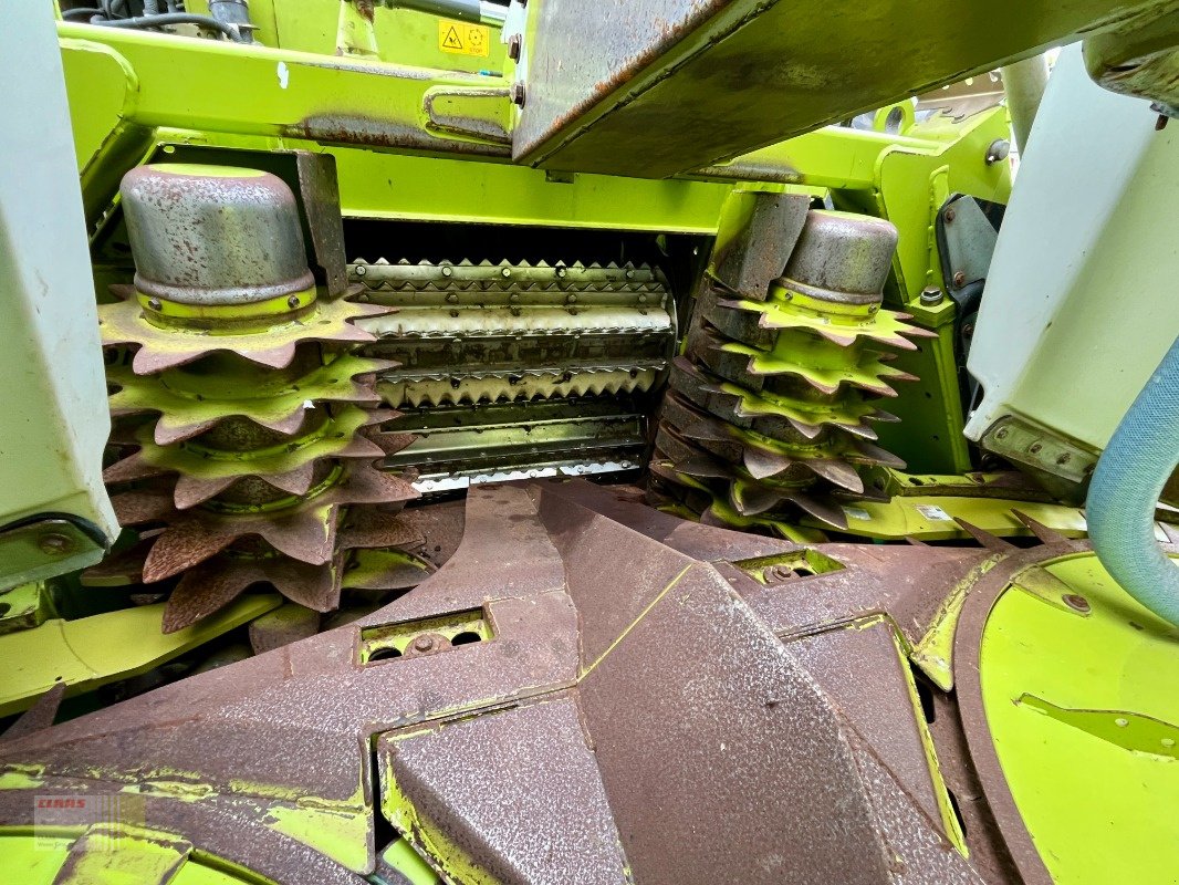Maisgebiss typu CLAAS ORBIS 600 AC AUTO CONTOUR TS PRO, 8-reiher, für JAGUAR, Gebrauchtmaschine v Molbergen (Obrázek 7)
