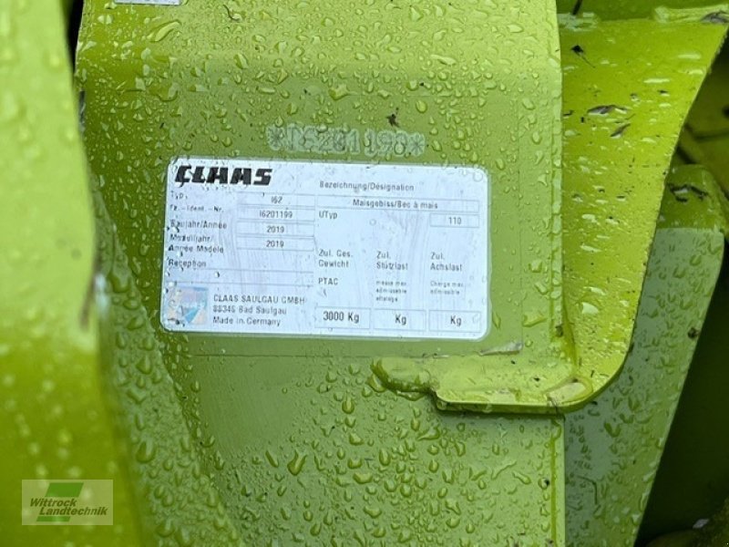 Maisgebiß του τύπου CLAAS Orbis 600 SD, Gebrauchtmaschine σε Rhede / Brual (Φωτογραφία 24)