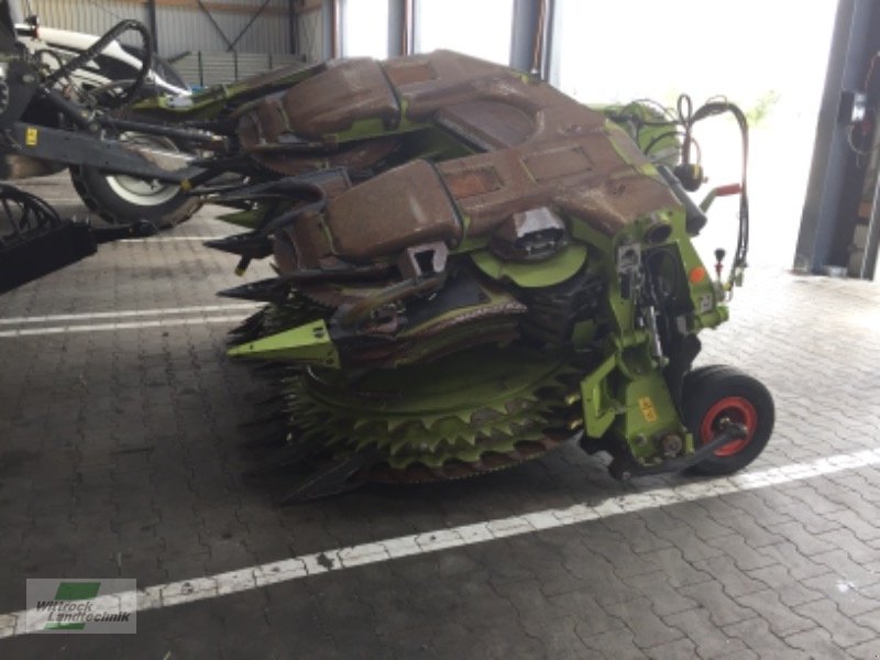 Maisgebiß des Typs CLAAS Orbis 600 SD, Gebrauchtmaschine in Rhede / Brual (Bild 11)