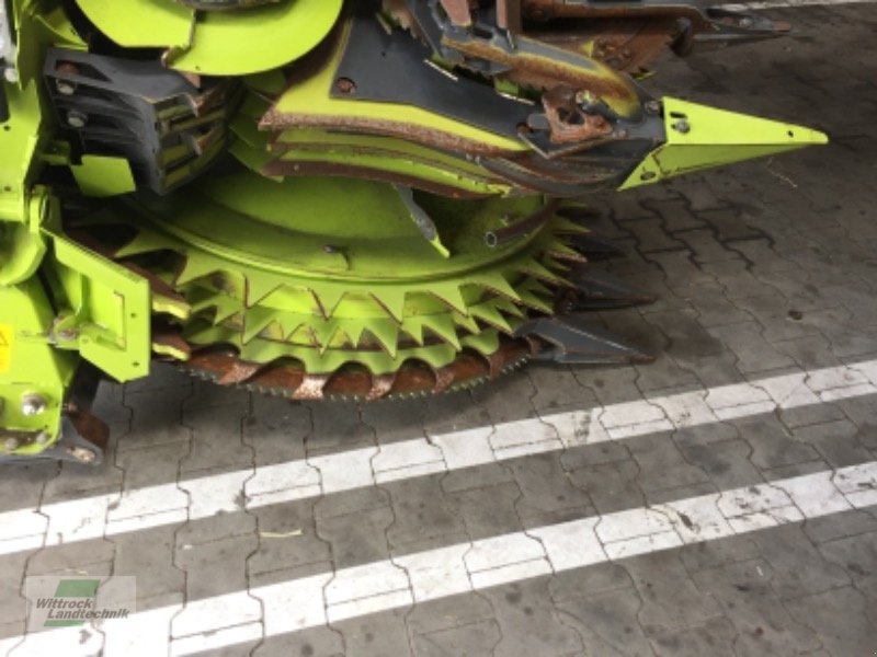 Maisgebiß des Typs CLAAS Orbis 600 SD, Gebrauchtmaschine in Rhede / Brual (Bild 5)