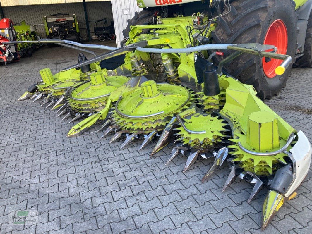 Maisgebiß des Typs CLAAS Orbis 600 SD, Gebrauchtmaschine in Rhede / Brual (Bild 1)