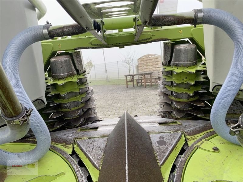 Maisgebiss от тип CLAAS ORBIS 600, Gebrauchtmaschine в Töging am Inn (Снимка 10)