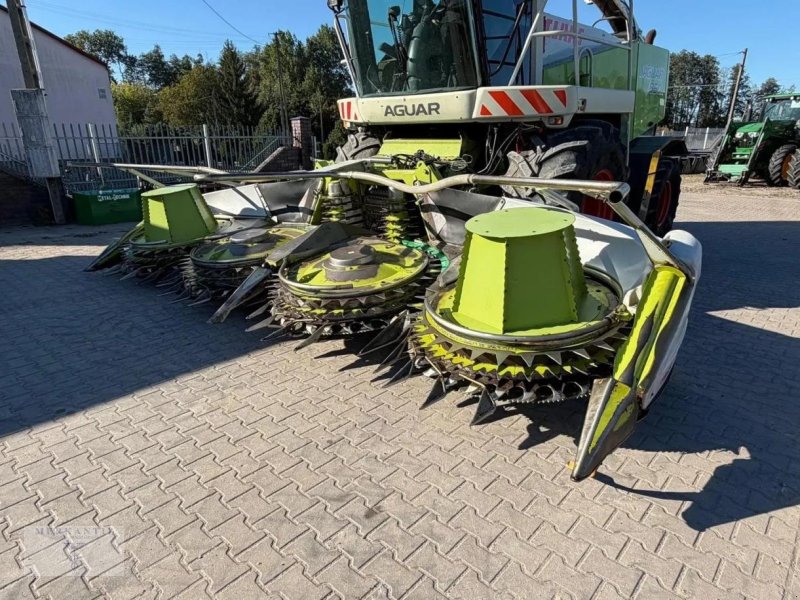 Maisgebiss типа CLAAS Orbis 600, Gebrauchtmaschine в Pragsdorf (Фотография 1)