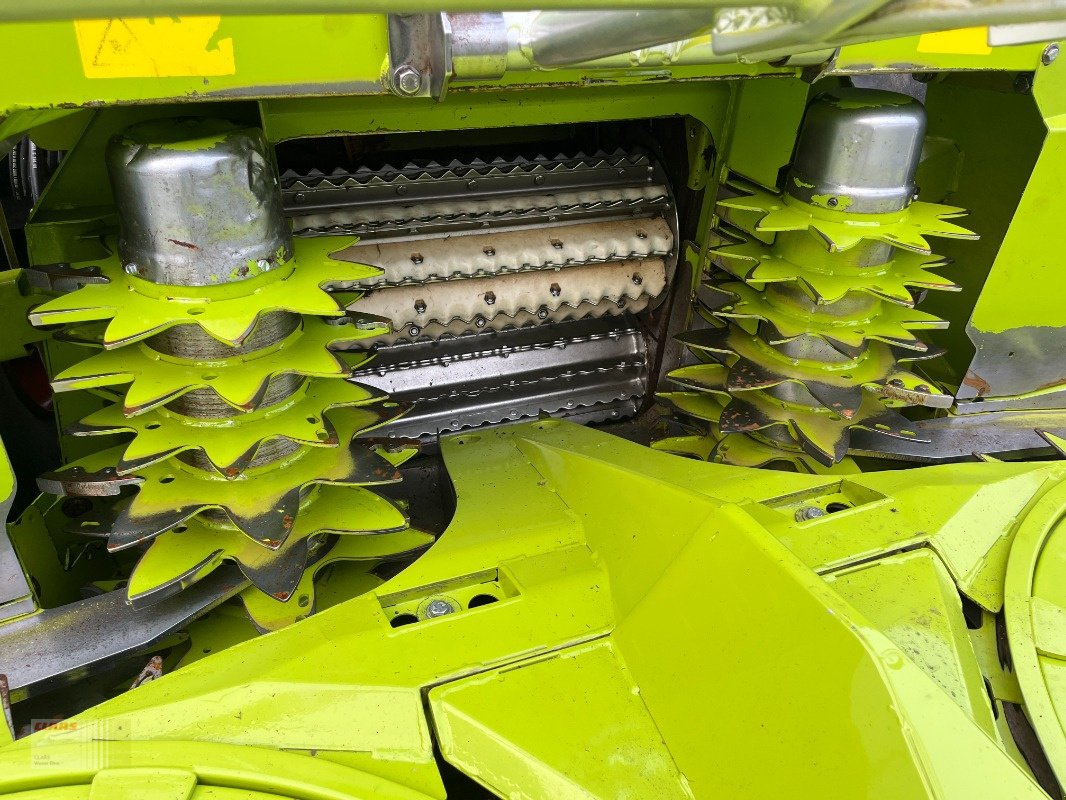 Maisgebiss typu CLAAS ORBIS 750 AC AUTO CONTOUR, 10-reiher, für Jaguar, repariert, einsatzbereit, Einsatzgarantie !, Gebrauchtmaschine v Molbergen (Obrázek 8)