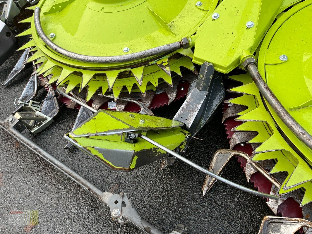 Maisgebiss typu CLAAS ORBIS 750 AC AUTO CONTOUR, 10-reiher, für Jaguar, repariert, einsatzbereit, Einsatzgarantie !, Gebrauchtmaschine v Molbergen (Obrázek 10)