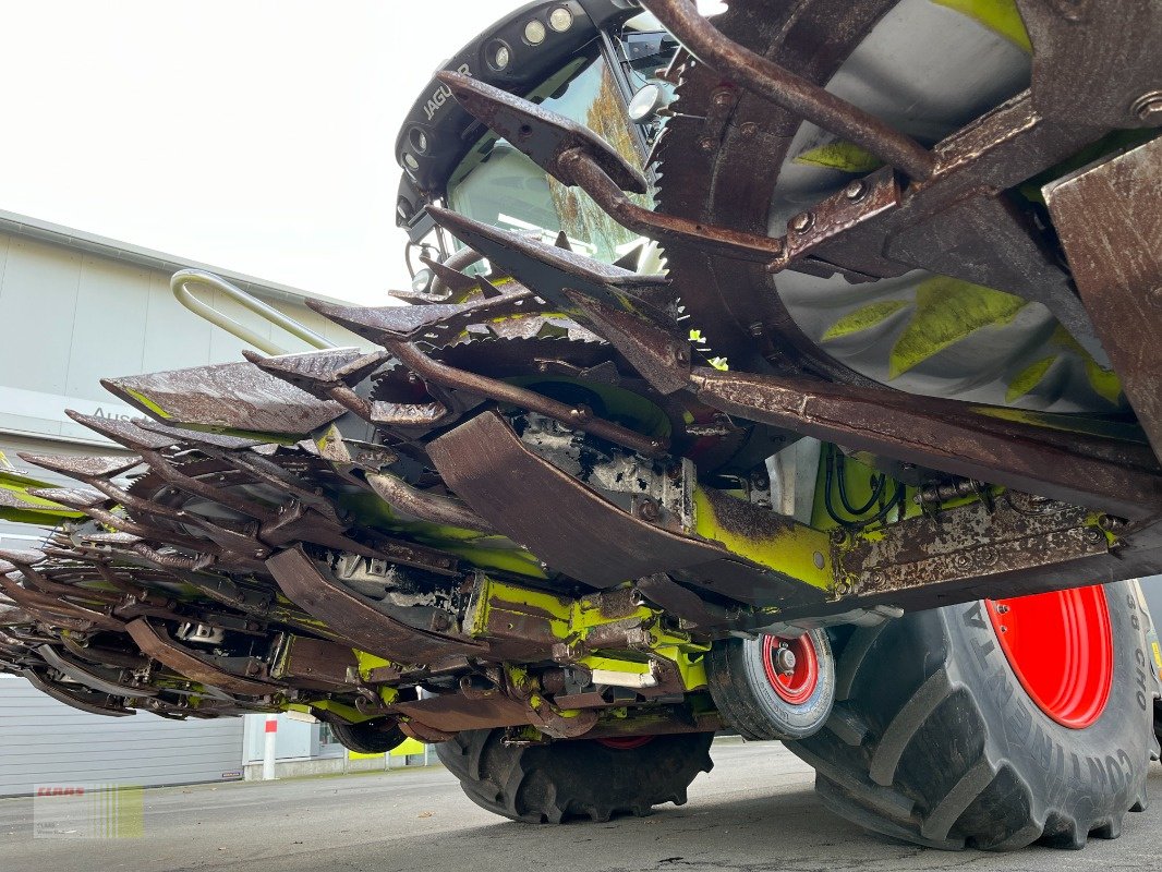 Maisgebiss typu CLAAS ORBIS 750 AC AUTO CONTOUR, 10-reiher, für Jaguar, Gebrauchtmaschine v Molbergen (Obrázek 10)