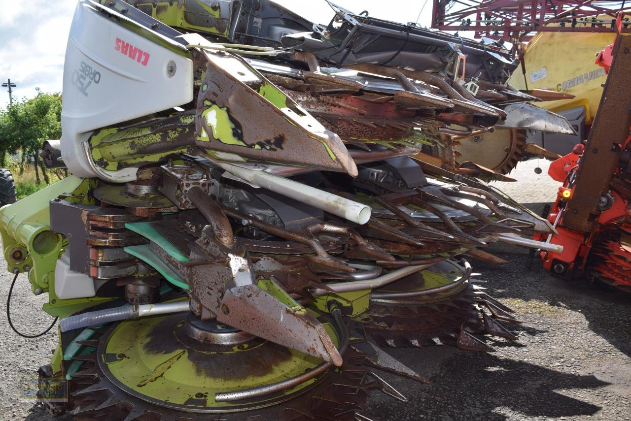 Maisgebiss typu CLAAS Orbis 750 AC PRO, Gebrauchtmaschine v Oyten (Obrázek 3)