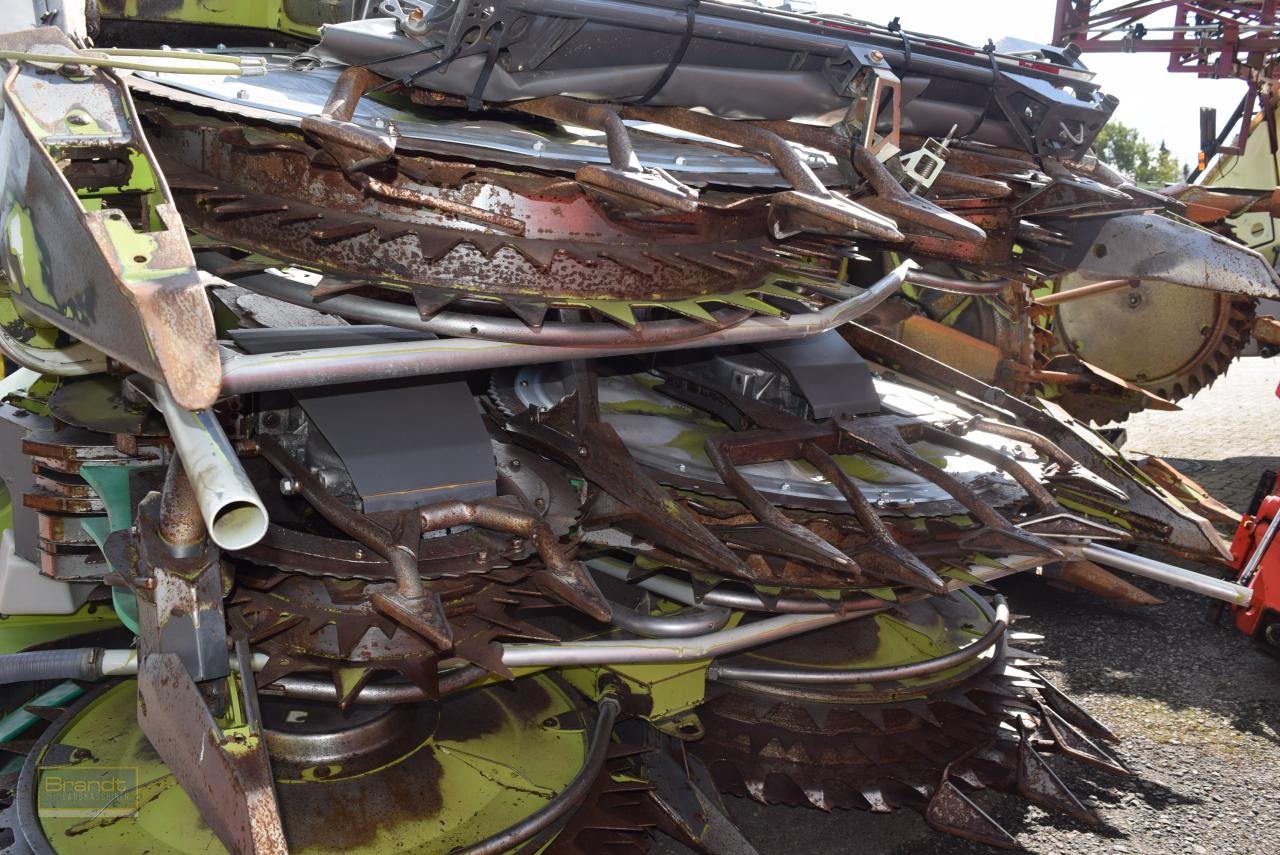 Maisgebiss typu CLAAS Orbis 750 AC PRO, Gebrauchtmaschine v Oyten (Obrázek 4)