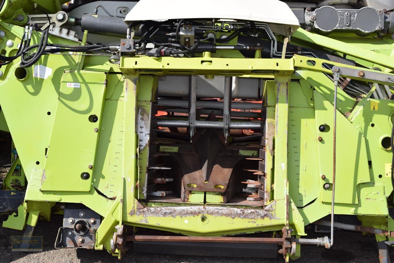 Maisgebiss typu CLAAS Orbis 750 AC PRO, Gebrauchtmaschine v Oyten (Obrázek 6)