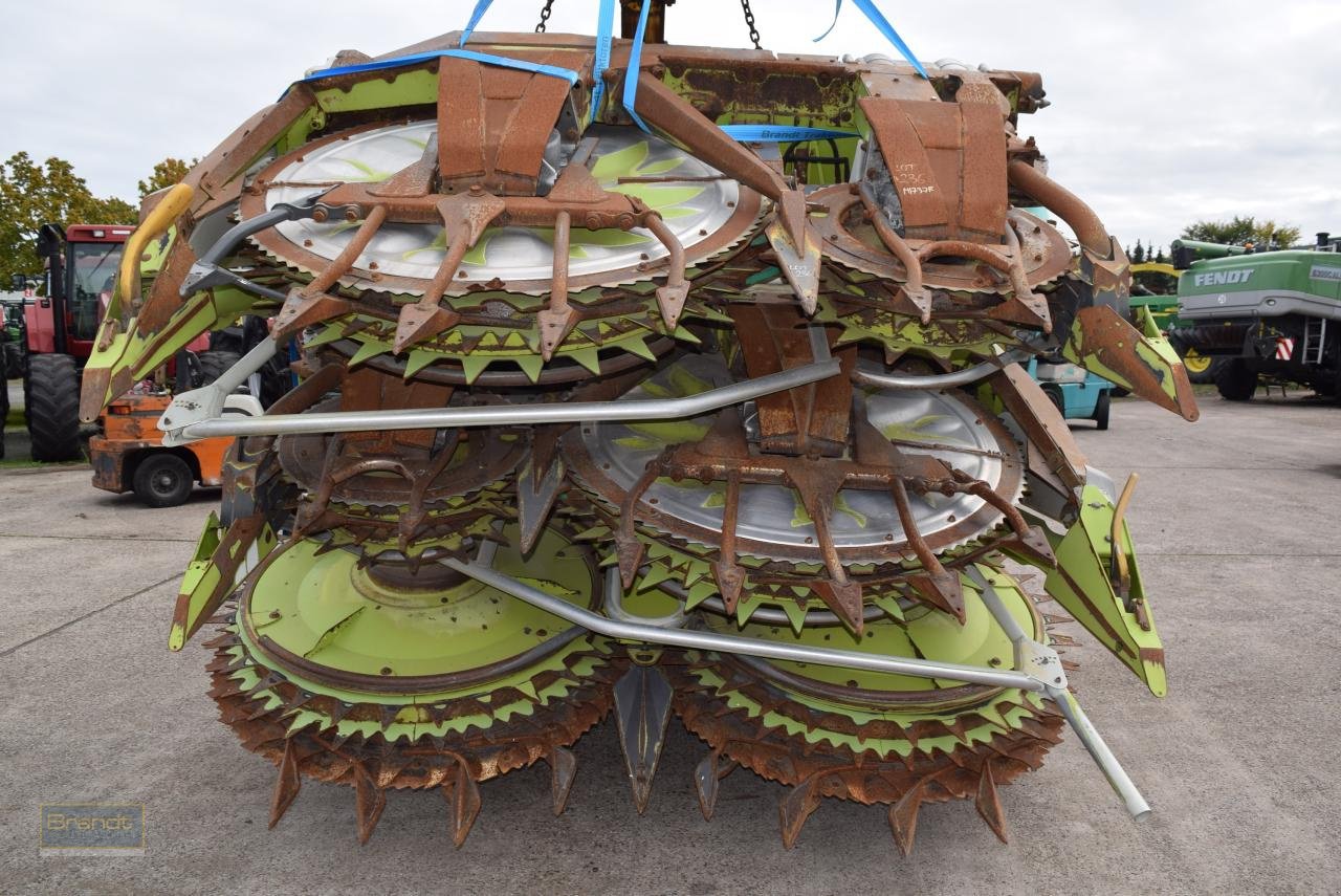 Maisgebiss του τύπου CLAAS ORBIS 750 AC TF M Pro, Gebrauchtmaschine σε Oyten (Φωτογραφία 1)