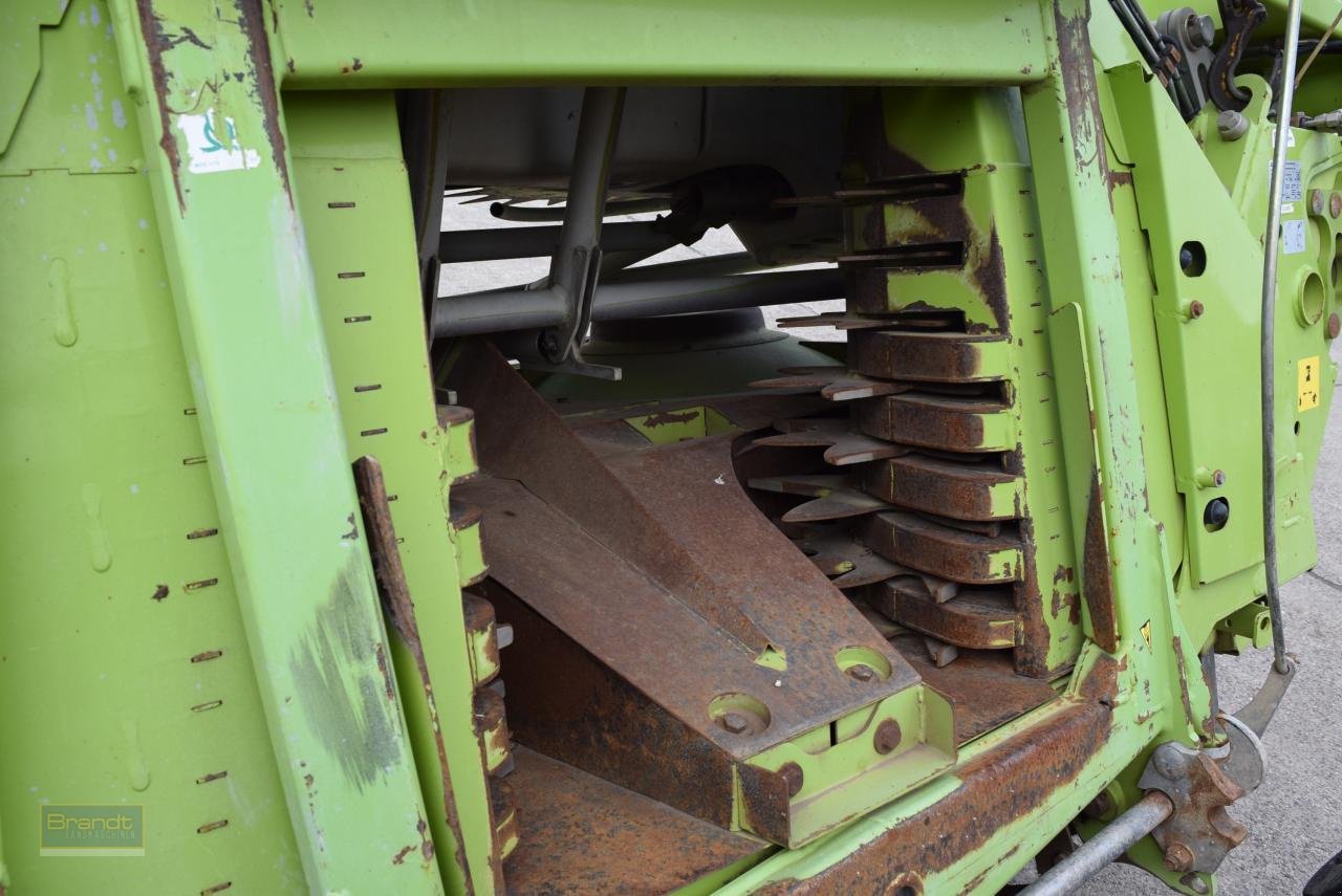 Maisgebiss του τύπου CLAAS ORBIS 750 AC TF M Pro, Gebrauchtmaschine σε Oyten (Φωτογραφία 5)