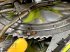 Maisgebiss типа CLAAS Orbis 750 Auto Contour bj 2010, Gebrauchtmaschine в Schutterzell (Фотография 5)