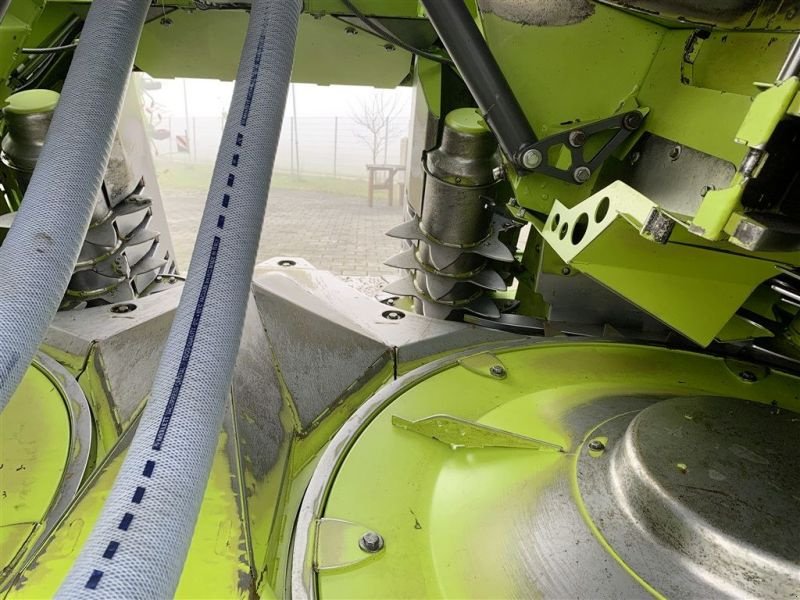 Maisgebiss del tipo CLAAS ORBIS 750, Gebrauchtmaschine In Töging a. Inn (Immagine 19)