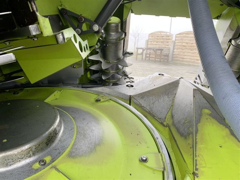 Maisgebiss del tipo CLAAS ORBIS 750, Gebrauchtmaschine In Töging a. Inn (Immagine 20)