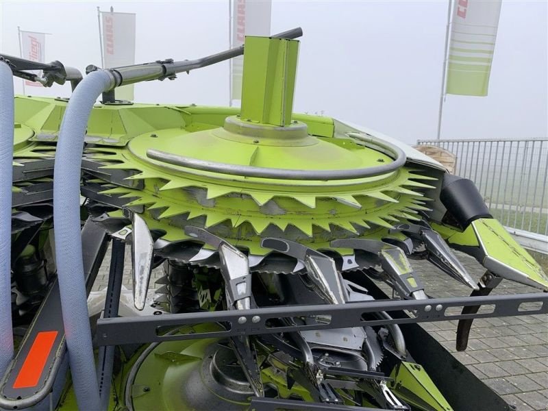 Maisgebiss del tipo CLAAS ORBIS 750, Gebrauchtmaschine In Töging a. Inn (Immagine 17)